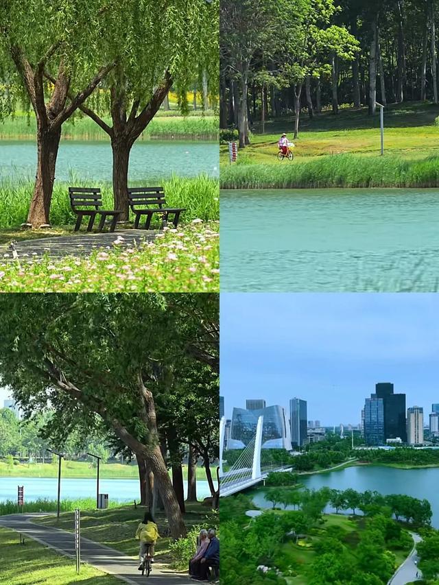 看这里 郑东新区拍摄场景资源推介麻将胡了2拍摄爆款微短剧快来东区(图19)